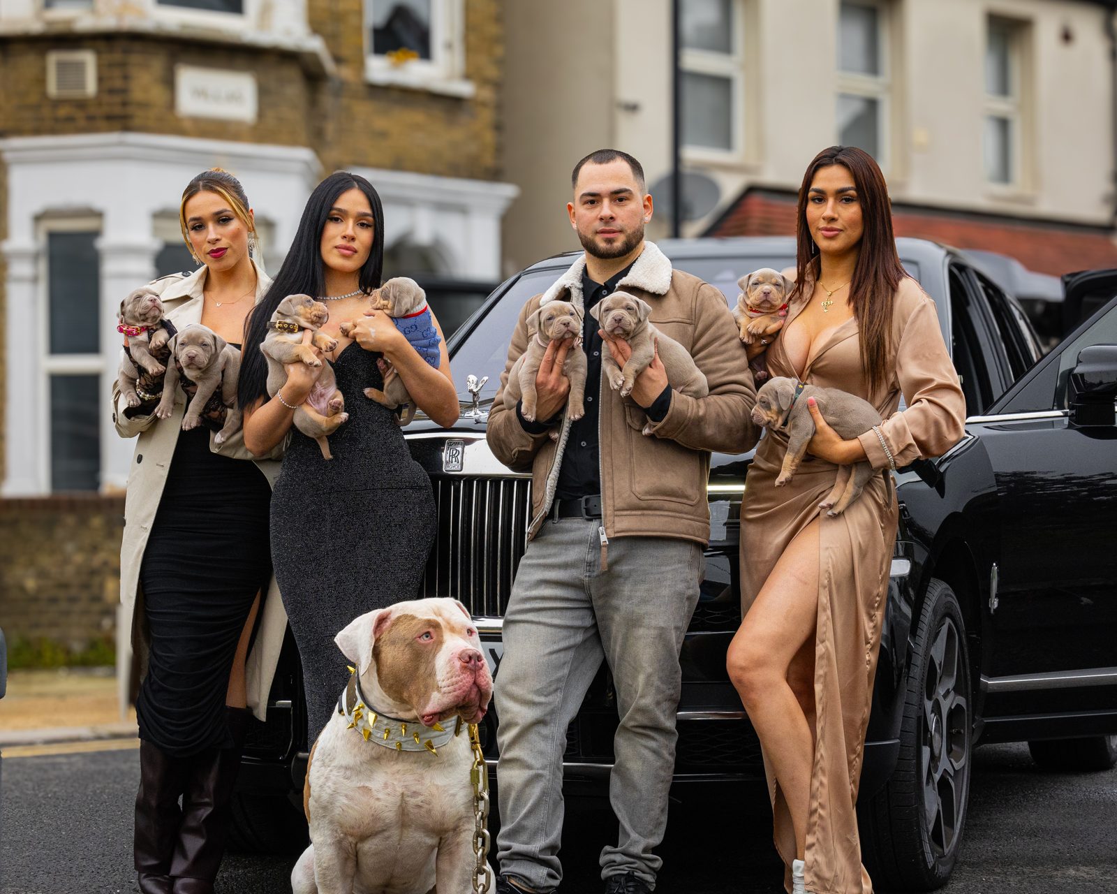 Bully Monster Family