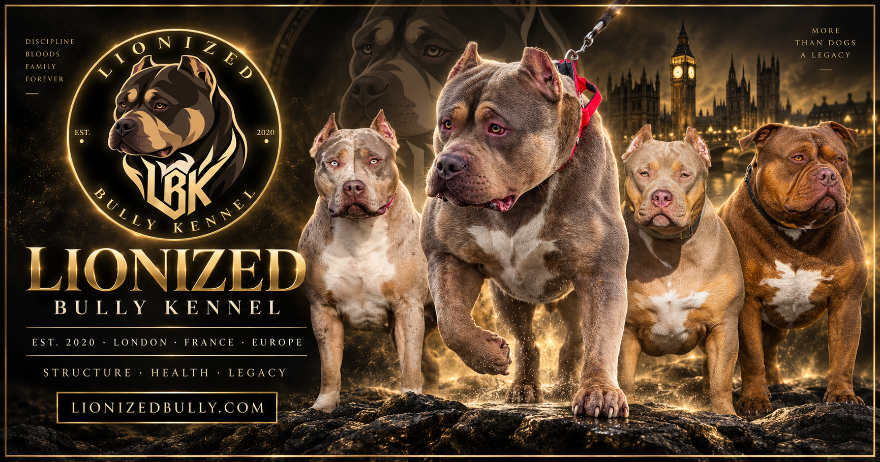 Lionized Bully Kennel — Structure, Health, Legacy